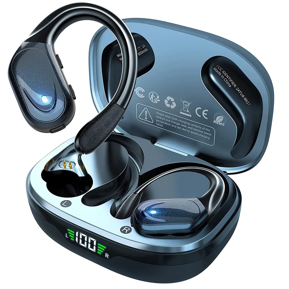True Wireless Earphones