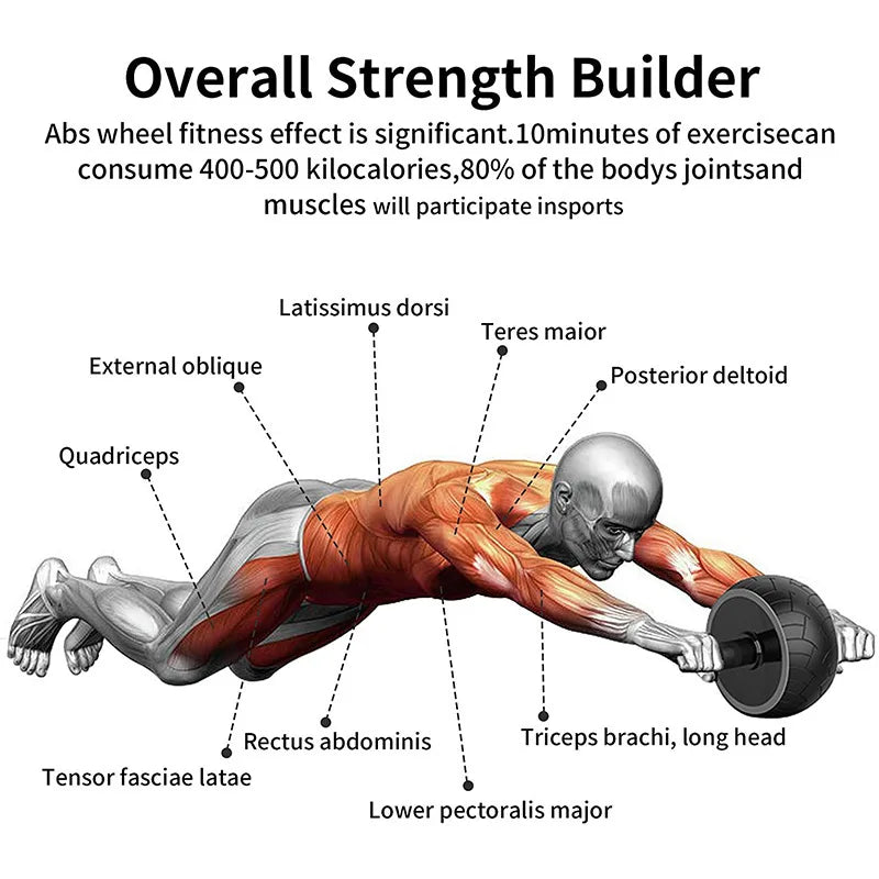 Silent Abdominal Roller Wheel