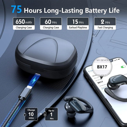 True Wireless Earphones